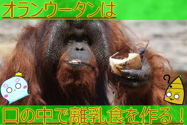 Thumbnail of post image 050